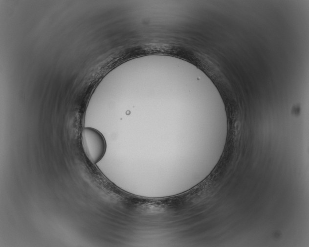 X0000116550498200912311914