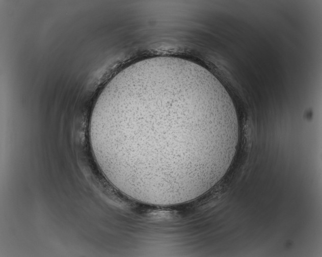 X0000116550499200912311914