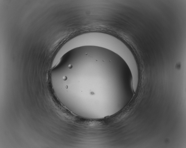 X0000116550501200912311914