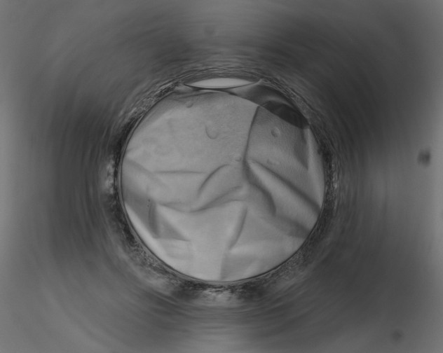 X0000116550502200912311914