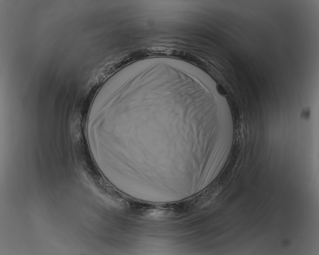 X0000116550504200912311914