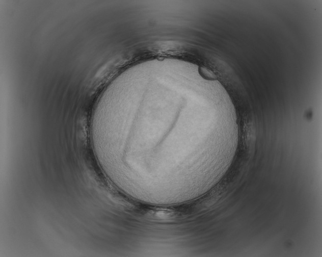 X0000116550506200912311914