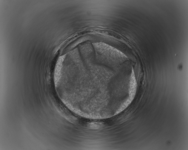 X0000116550508200912311914