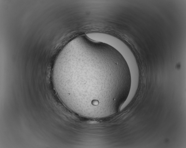 X0000116550509200912311914