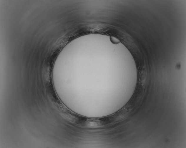 X0000116550510200912311914