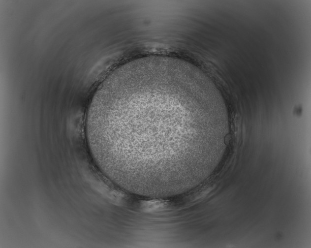 X0000116550511200912311914