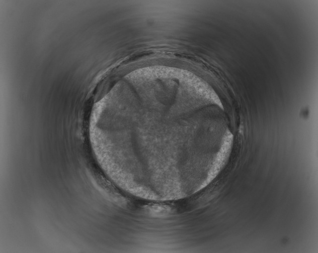 X0000116550512200912311914