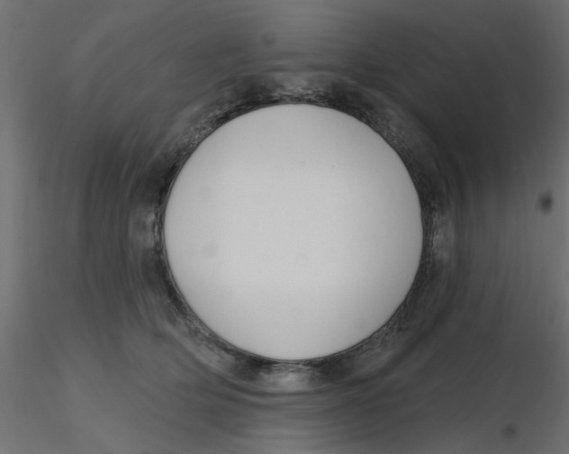 X0000116550514200912311914