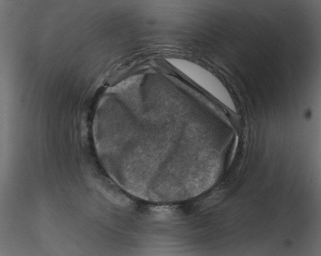 X0000116550516200912311914