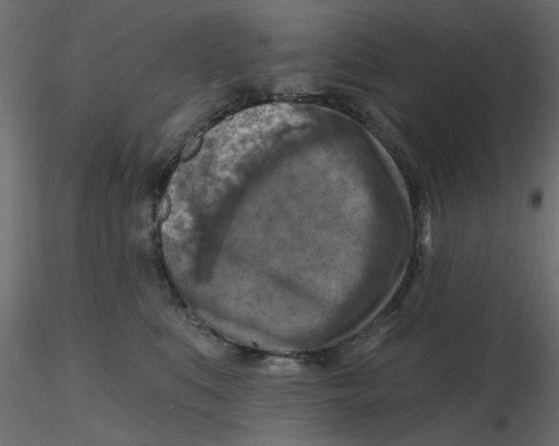 X0000116550519200912311914