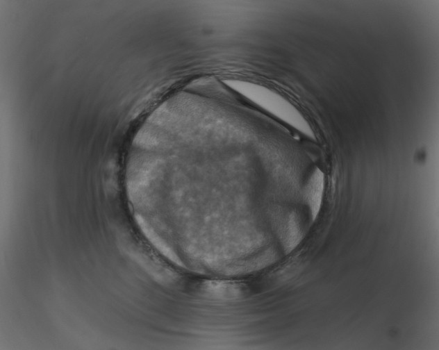 X0000116550520200912311914