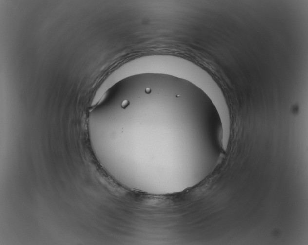 X0000116550521200912311914