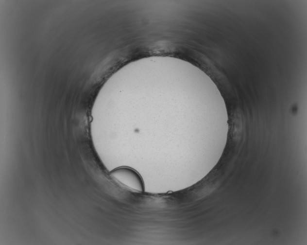 X0000116550523200912311914