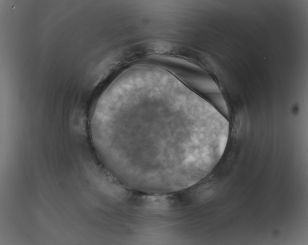 X0000116550524200912311914