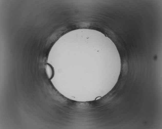 X0000116550525200912311914