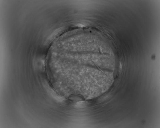 X0000116550527200912311914