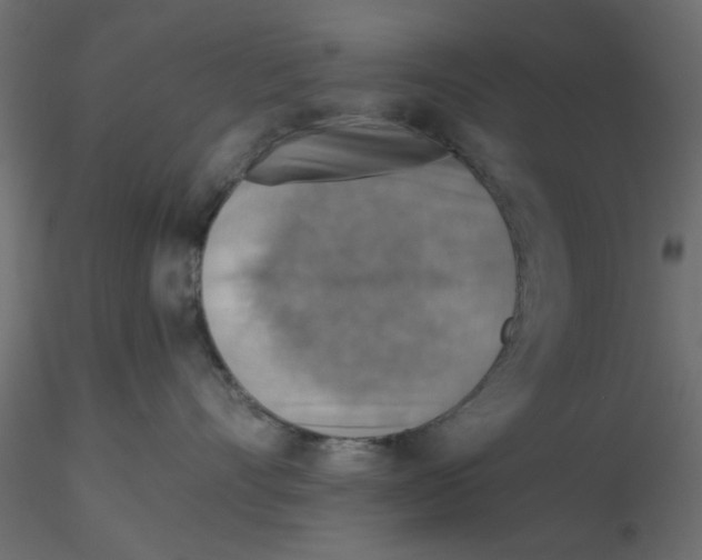 X0000116550528200912311914