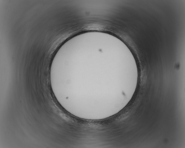 X0000116550529200912311913