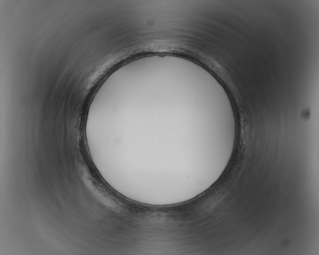 X0000116550530200912311913