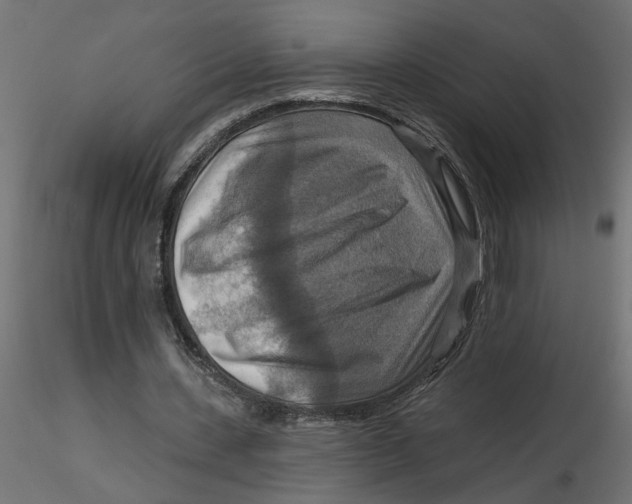 X0000116550531200912311913