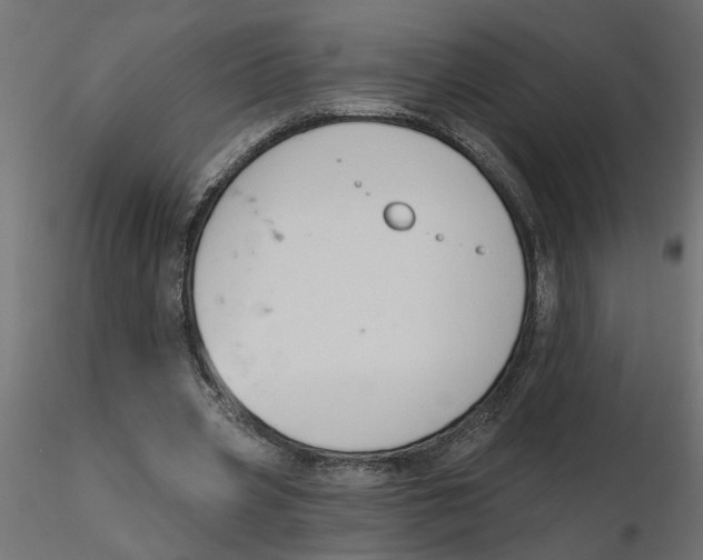 X0000116550533200912311913