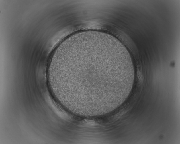 X0000116550534200912311913