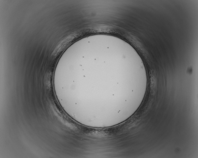 X0000116550537200912311913