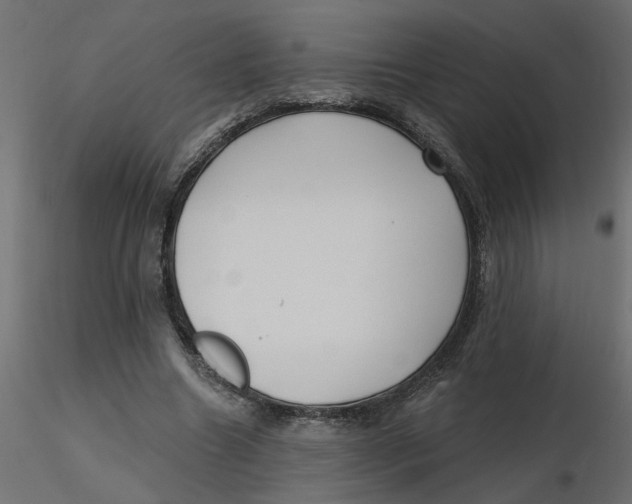 X0000116550538200912311913