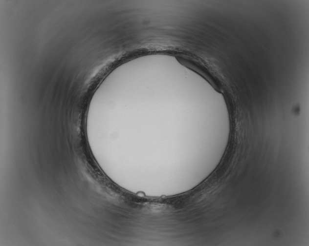 X0000116550539200912311913