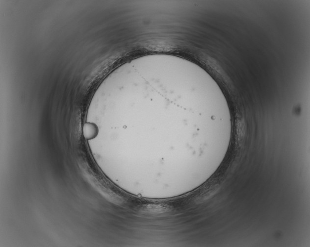 X0000116550541200912311913