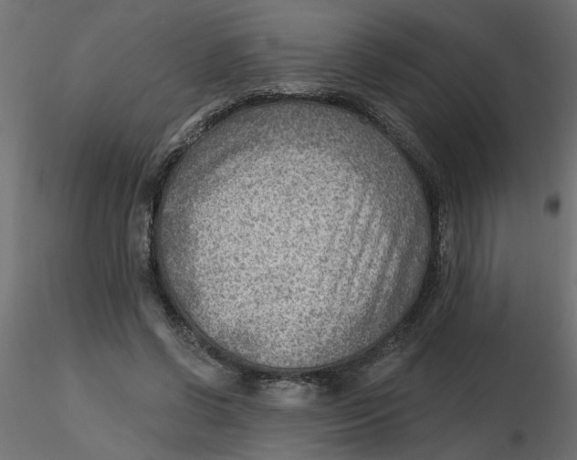 X0000116550542200912311914