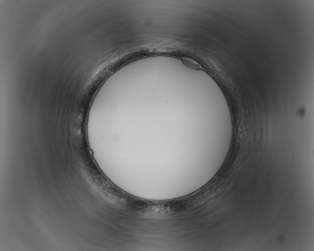 X0000116550543200912311914