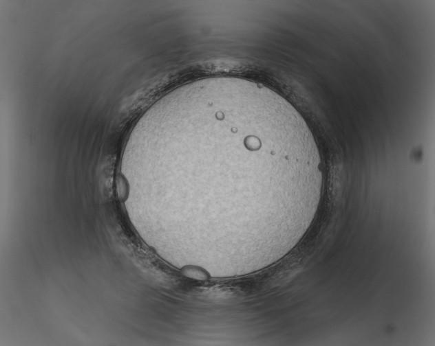 X0000116550545200912311914