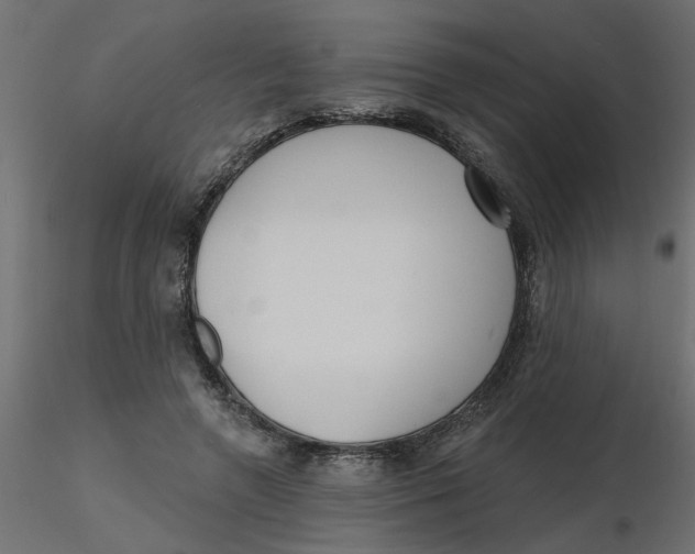 X0000116550546200912311914