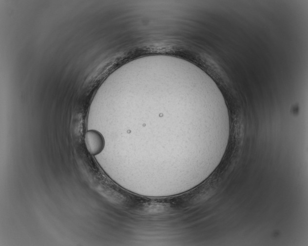 X0000116550549200912311914