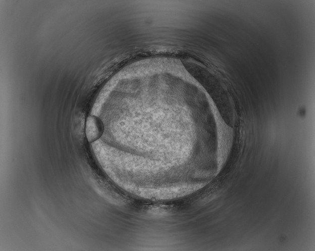 X0000116550550200912311914