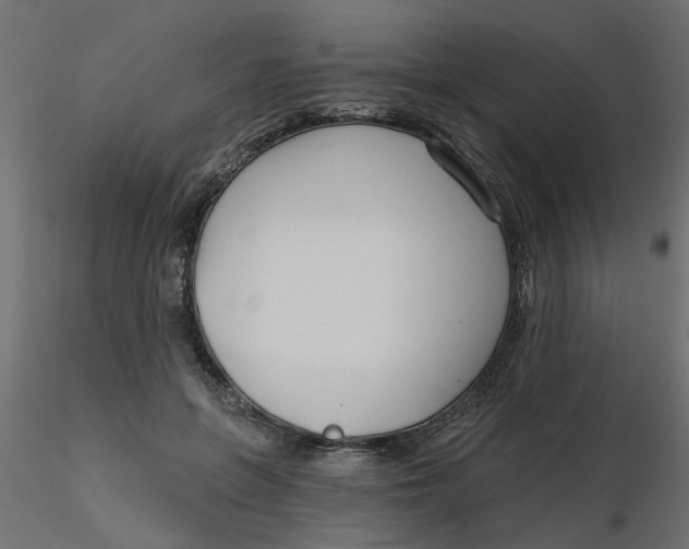 X0000116550551200912311914