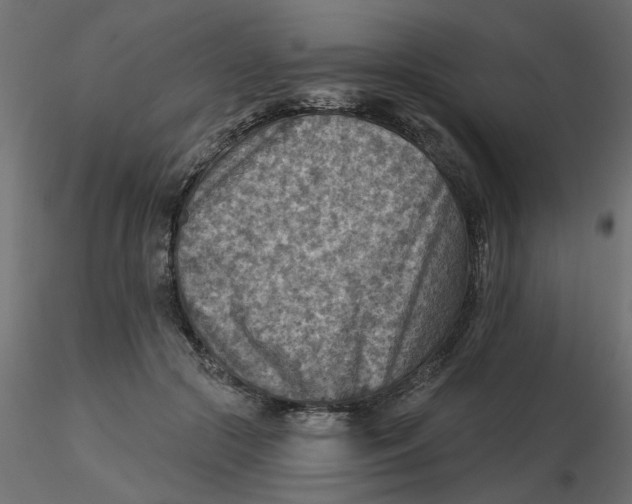 X0000116550553200912311914