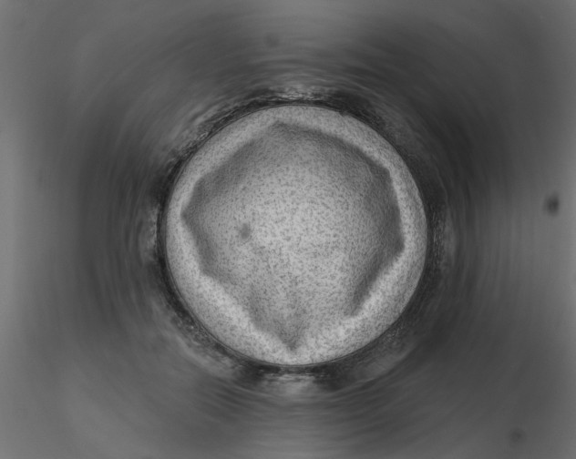 X0000116550554200912311914