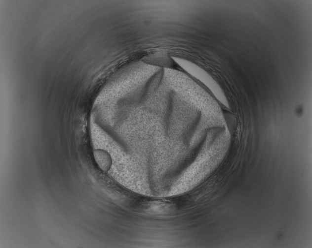 X0000116550555200912311914