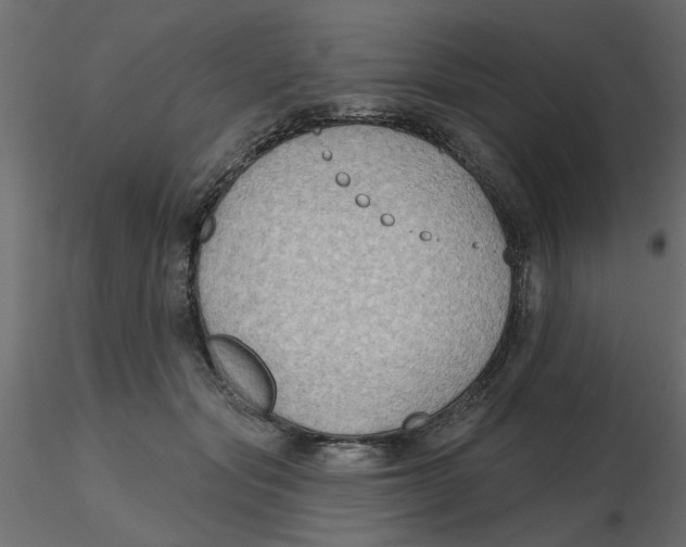 X0000116550557200912311914