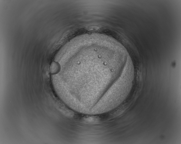 X0000116550561200912311914