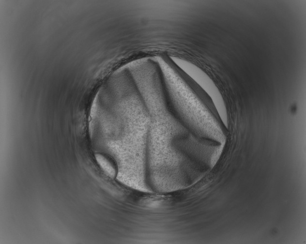 X0000116550563200912311914