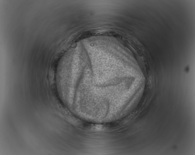 X0000116550565200912311914