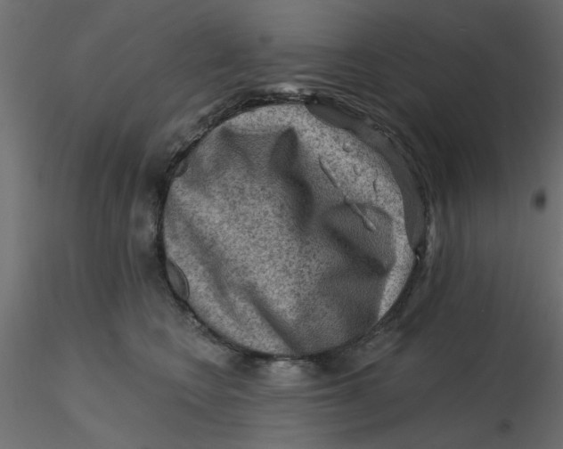 X0000116550566200912311914