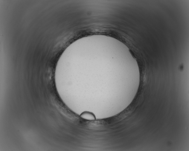 X0000116550567200912311914