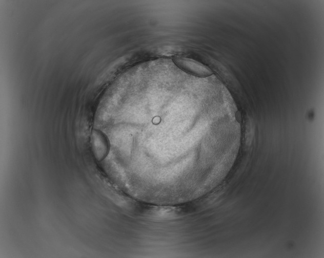 X0000116550569200912311914