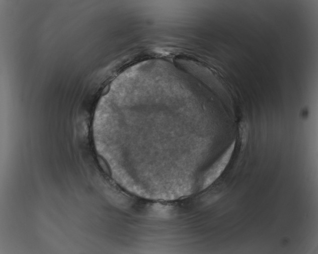 X0000116550570200912311914