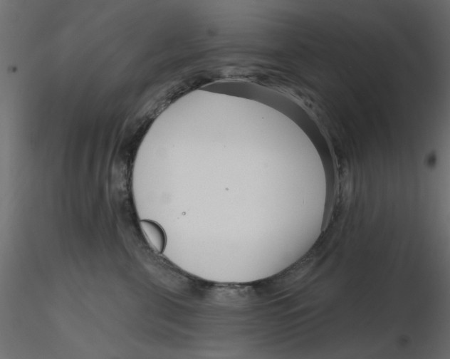 X0000116550571200912311914