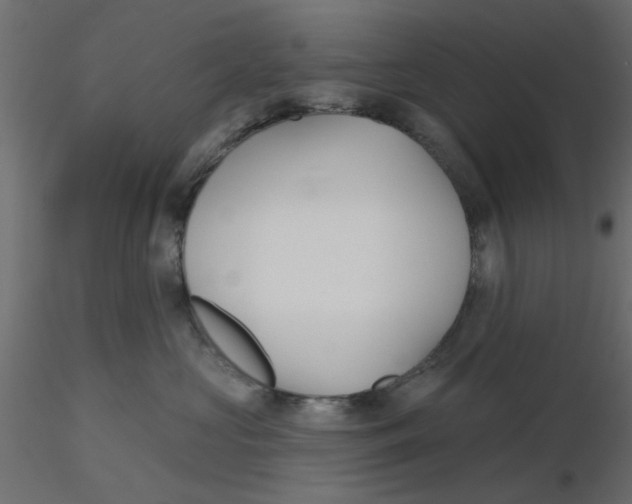 X0000116550573200912311914